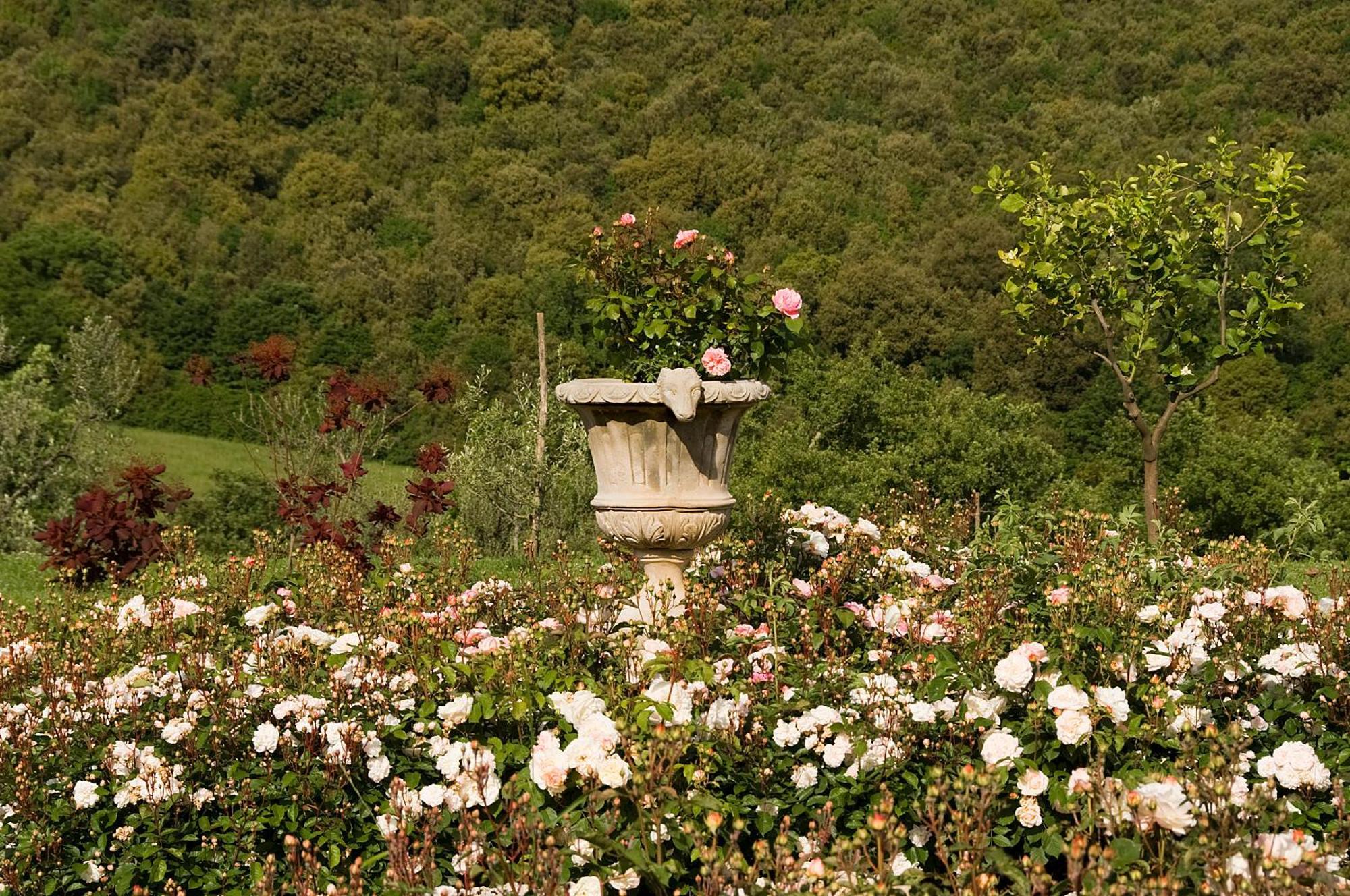 Farm stay Relais Tenuta Del Gallo Amelia