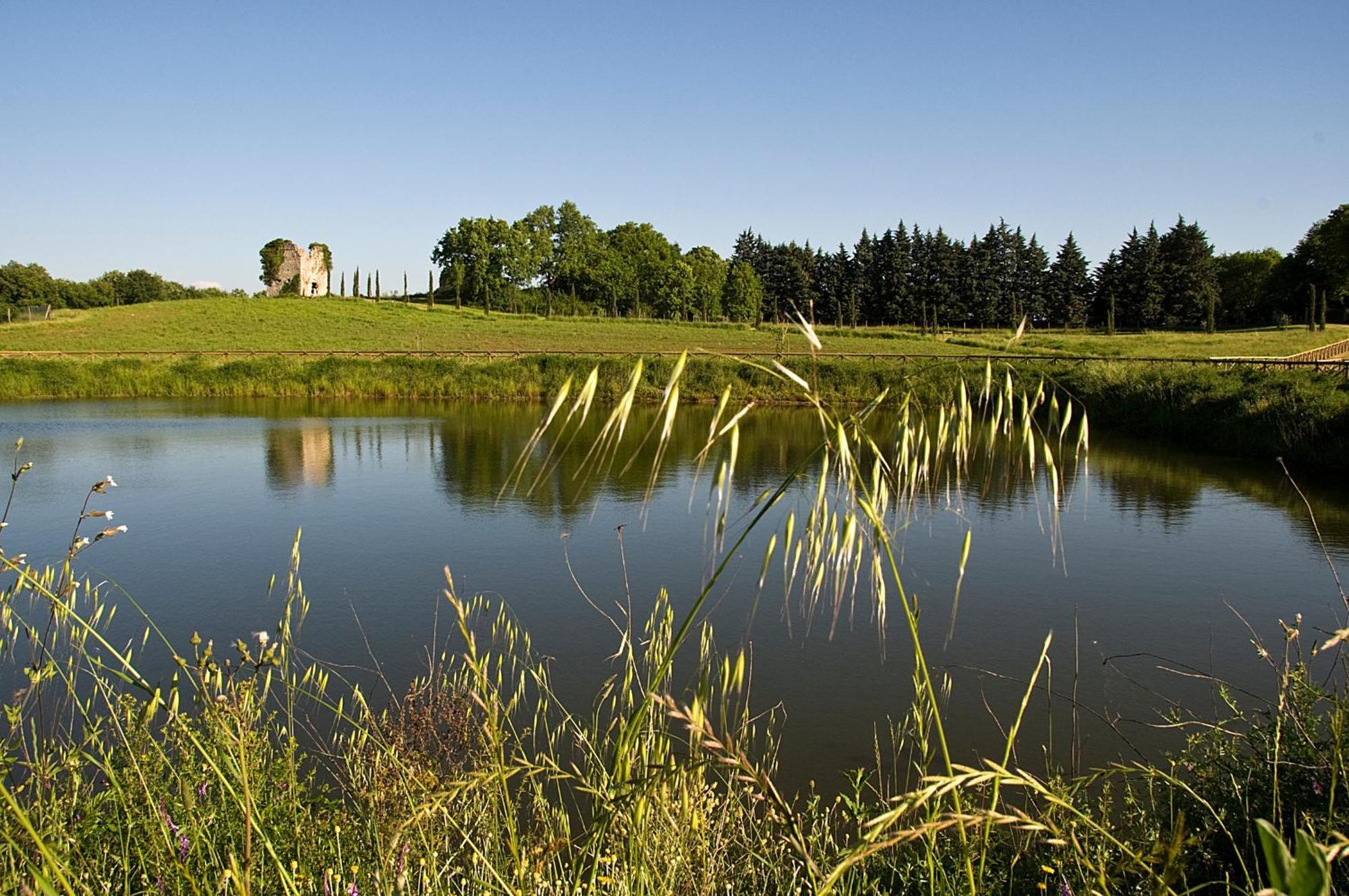Tenuta Del Gallo Alloggio per agriturismo Amelia