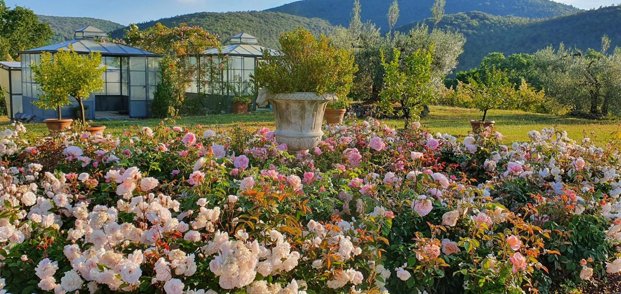 Tenuta Del Gallo * Amelia