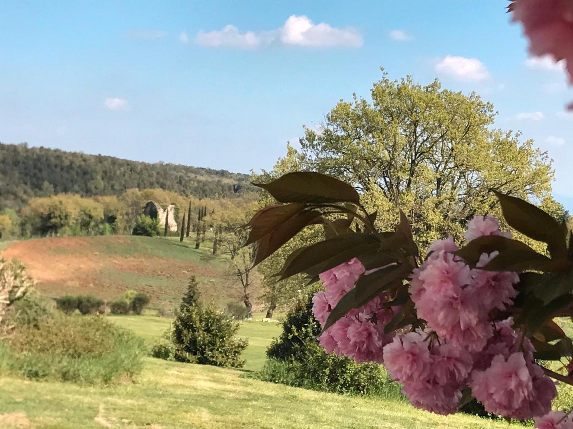 Tenuta Del Gallo