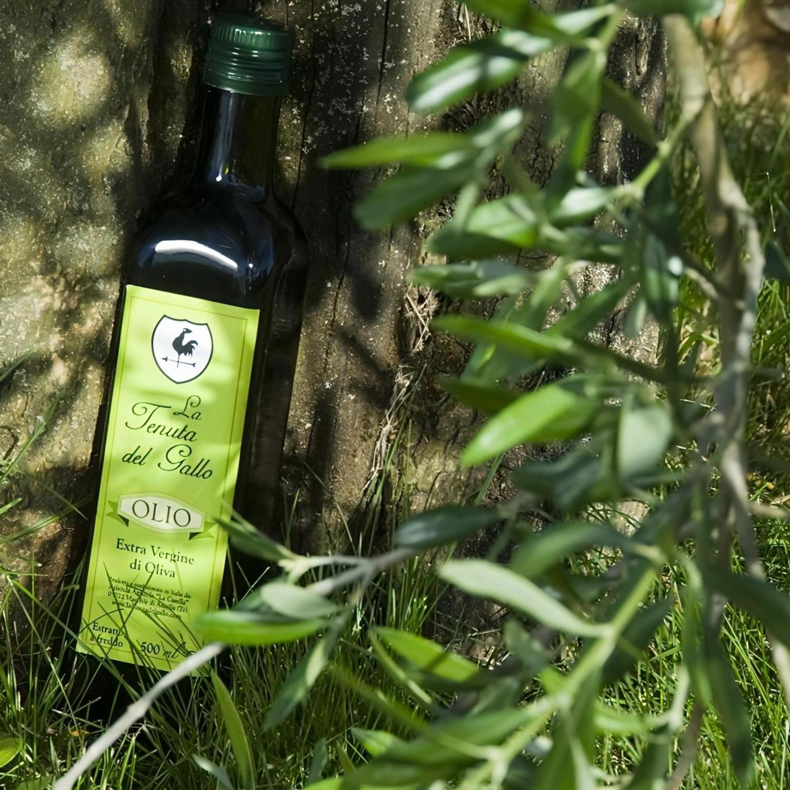 Tenuta Del Gallo Alloggio per agriturismo