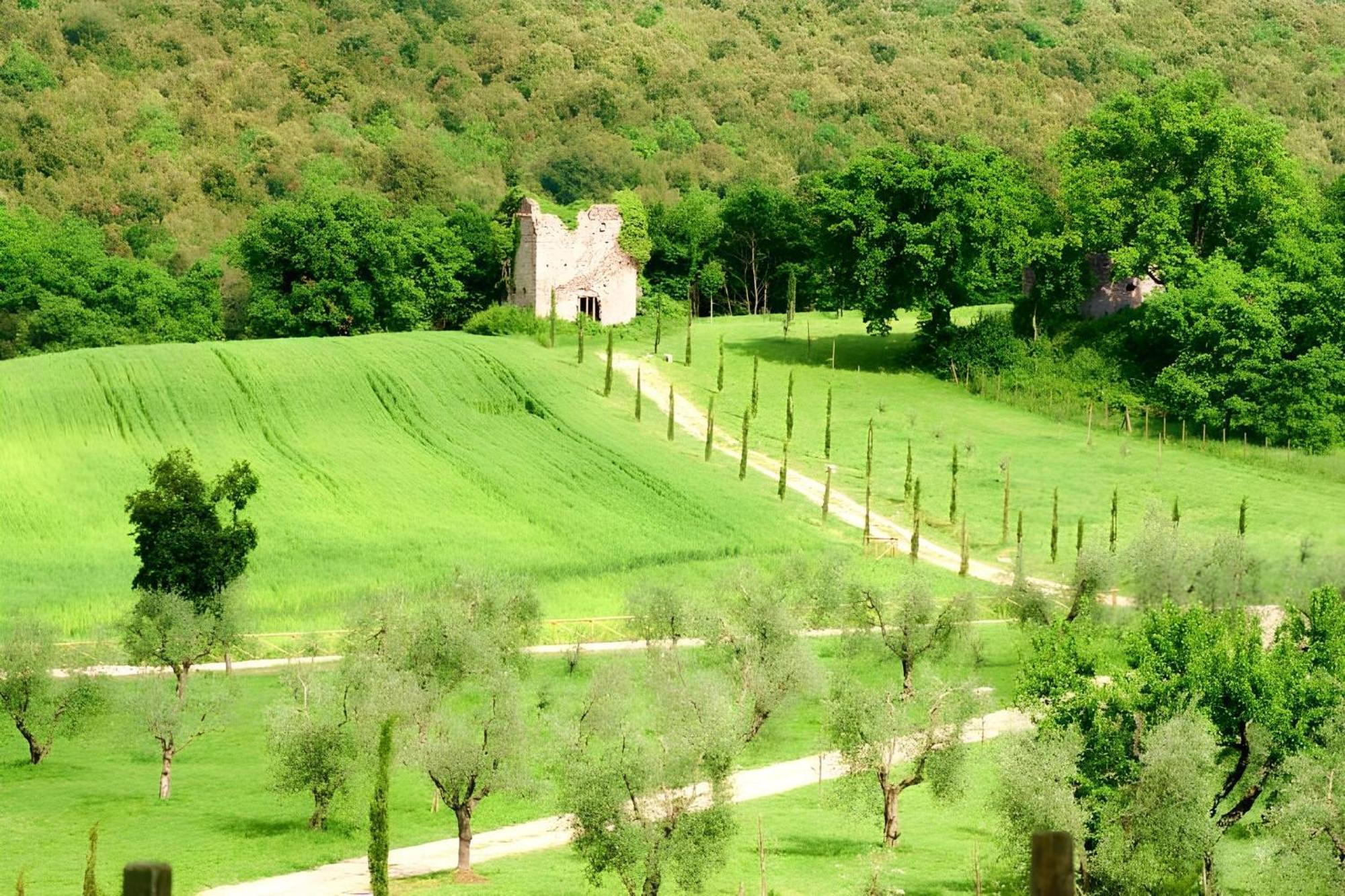 Tenuta Del Gallo *
