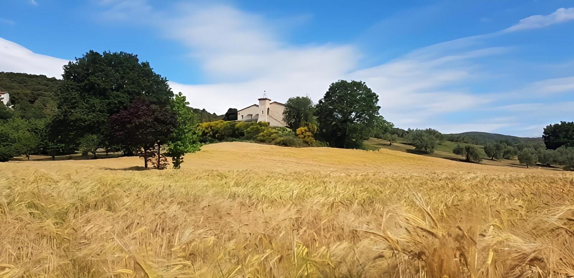 Tenuta Del Gallo Alloggio per agriturismo *