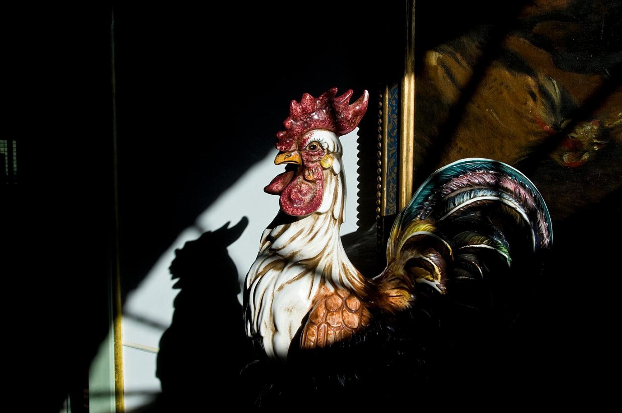 Alloggio per agriturismo Tenuta Del Gallo *