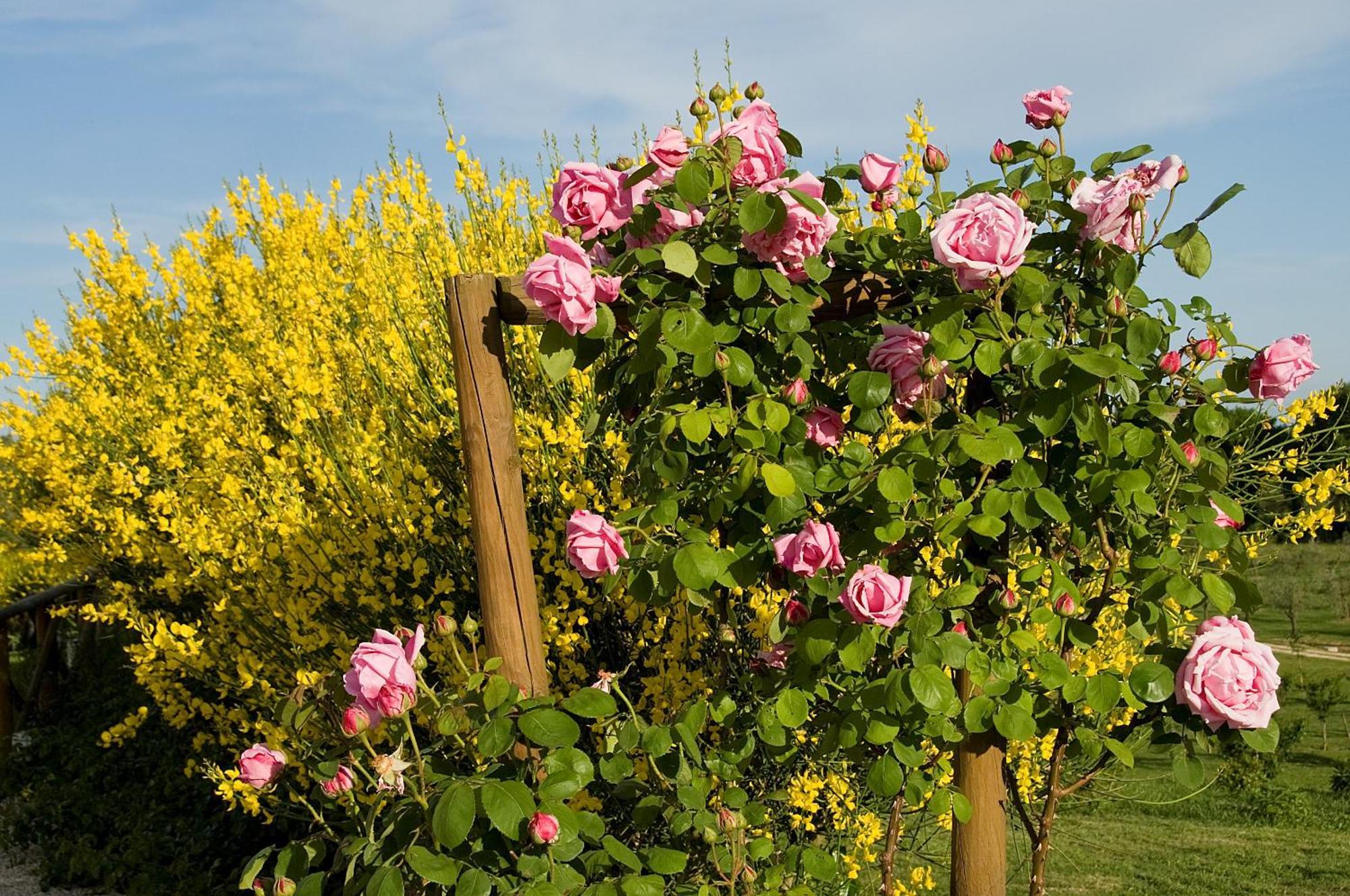 Farm stay Relais Tenuta Del Gallo *